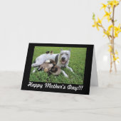 Moederdag Dierenvriend Bont Baby Mom Kaart (Gele Bloem)