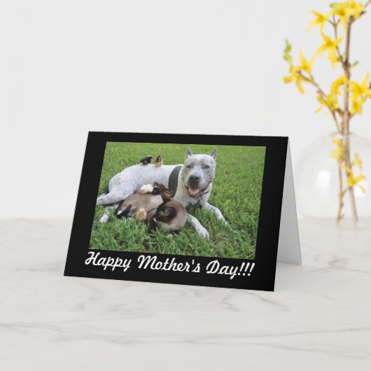 Moederdag Dierenvriend Bont Baby Mom Kaart (Gele Bloem)