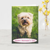 Moederdag Dog Mam World's Best Ever Pet Photo Kaart (Gele Bloem)