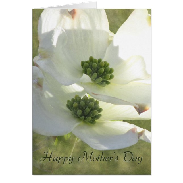 Moederdag Dogwood (Voorkant)