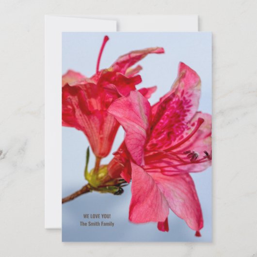 Moederdag Elegante Roze Azalea Bloem Bedankkaart (Achterkant)