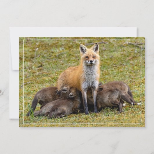 Moederdag Feestdagenkaart (Voorkant)