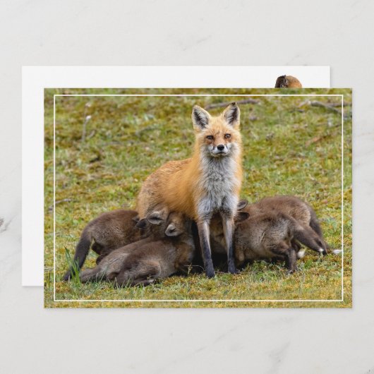 Moederdag Feestdagenkaart (Voorkant / Achterkant)