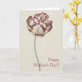 Moederdag -  fijn geel en rood Tulp Kaart (Gele Bloem)