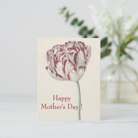 Moederdag -  fijn wit en rood tulp briefkaart (Staand voorkant)