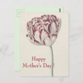 Moederdag -  fijn wit en rood tulp briefkaart (Voorkant / Achterkant)