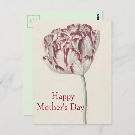Moederdag -  fijn wit en rood tulp briefkaart (Voorkant / Achterkant)