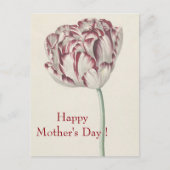Moederdag -  fijn wit en rood tulp briefkaart (Voorkant)