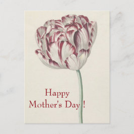Moederdag - fijn wit en rood tulp briefkaart