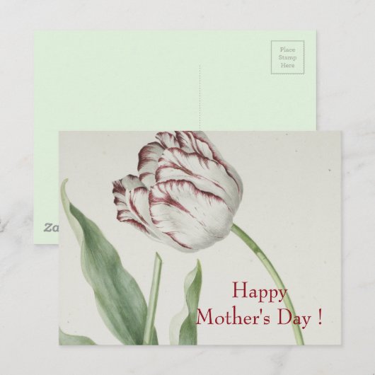 Moederdag -  fijn wit en rood tulp briefkaart (Voorkant / Achterkant)