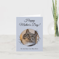 Moederdag Foto Kat Moeder Beste Moeder Ooit Huisdi