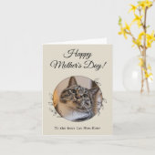 Moederdag Foto Kat Moeder Beste Moederdag Ter Were Kaart (Gele Bloem)