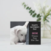 Moederdag Foto van Cute White Dog Slaping Briefkaart (Staand voorkant)