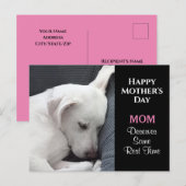 Moederdag Foto van Cute White Dog Slaping Briefkaart (Voorkant / Achterkant)
