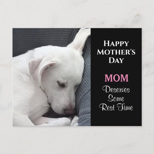 Moederdag Foto van Cute White Dog Slaping Briefkaart (Voorkant)