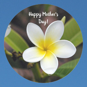 Moederdag Geel en Wit Plumeria Flower Foto Ronde Sticker