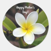 Moederdag Geel en Wit Plumeria Flower Foto Ronde Sticker (Voorkant)