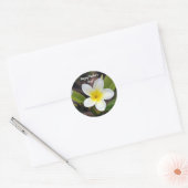 Moederdag Geel en Wit Plumeria Flower Foto Ronde Sticker (Envelop)