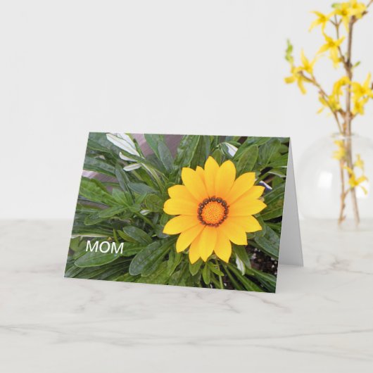 Moederdag, gele ventilator kaart (Gele Bloem)