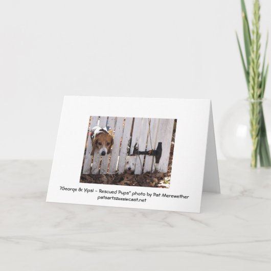 Moederdag geredde pups kaart (Achterkant)