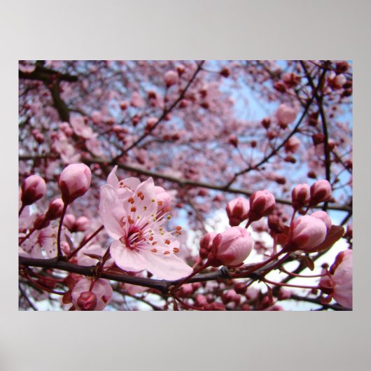 MOEDERDAG GIFTS Spring Blossom Prints (Voorkant)