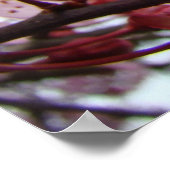 MOEDERDAG GIFTS Spring Blossom Prints (Hoek)