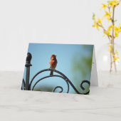 Moederdag Groet van Little Red Bird Kaart (Gele Bloem)