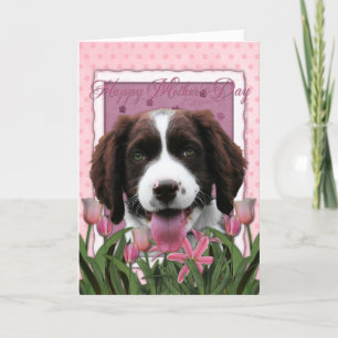 Moederdag - het Roze Spaniel van de Aanzetsteen Kaart