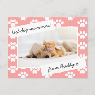 moederdag hond mam foto briefkaart