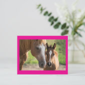 Moederdag Horse and Colt Holiday Briefkaart (Staand voorkant)