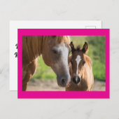 Moederdag Horse and Colt Holiday Briefkaart (Voorkant / Achterkant)
