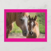 Moederdag Horse and Colt Holiday Briefkaart (Voorkant)