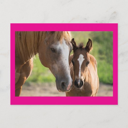 Moederdag Horse and Colt Holiday Briefkaart (Voorkant)