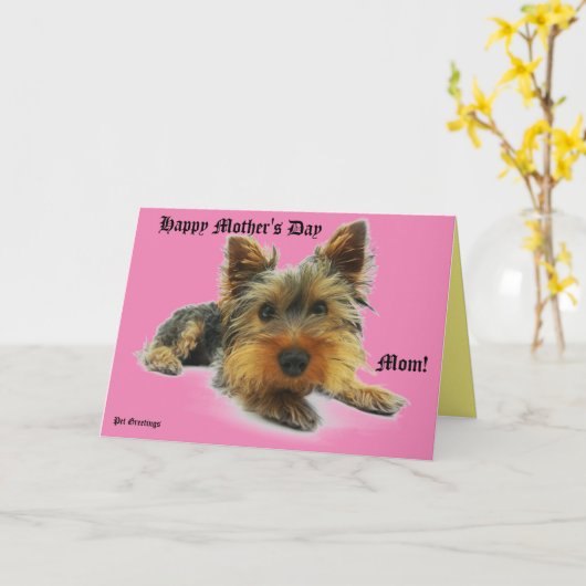 Moederdag huisdier groet kaart (Gele Bloem)