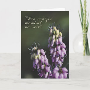 Moederdag in het Tsjechisch Kaart