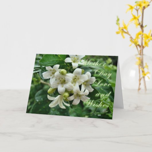 Moederdag Jasmijnkaart Kaart (Gele Bloem)
