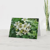 Moederdag Jasmijnkaart Kaart (Voorkant)