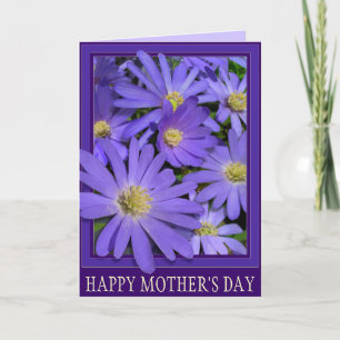 Moederdag Kaart Blauw Bloem Daisy Kaart