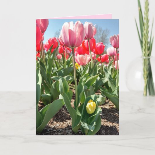 Moederdag Kaart - Mam en Baby Tulips (Voorkant)