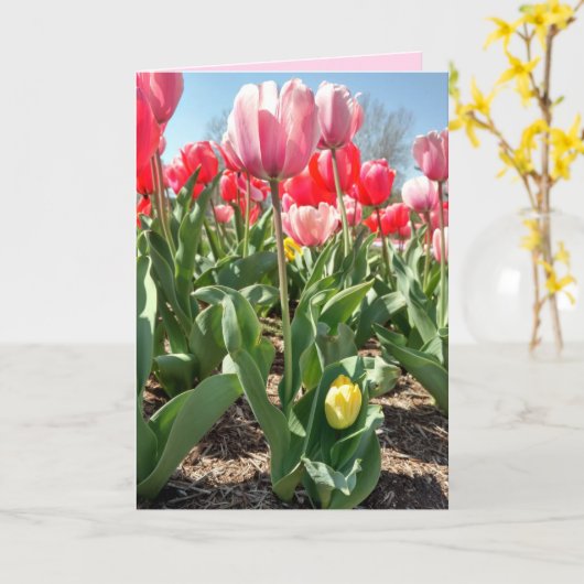 Moederdag Kaart - Mam en Baby Tulips (Gele Bloem)