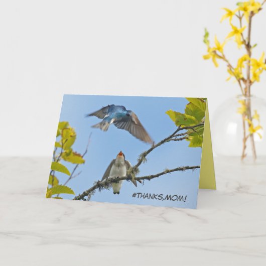 Moederdag kaart met boomzwaluwen (Gele Bloem)