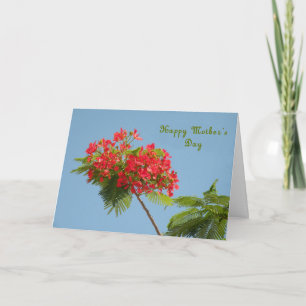 Moederdag Kaart met een Royal Pooverana Flower