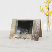 Moederdag kaart met kleine pinguïns (Gele Bloem)