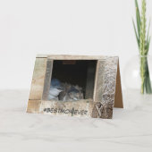 Moederdag kaart met kleine pinguïns (Voorkant)