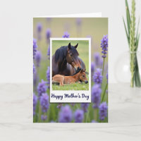 Moederdag kaart met paard en veulen in de wei