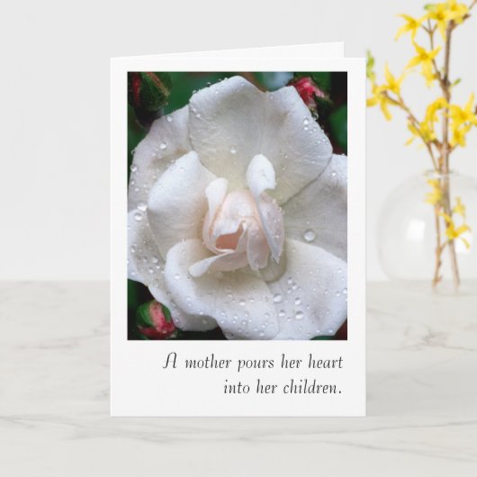 Moederdag Kaart met witte roos (Gele Bloem)