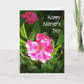 Moederdag Kaart - Roze Rozen (Voorkant)