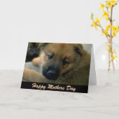 Moederdag Kaart uit Dog, Keuk (Gele Bloem)