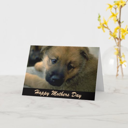 Moederdag Kaart uit Dog, Keuk (Gele Bloem)