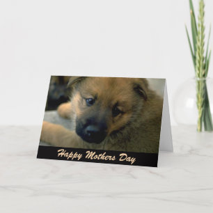 Moederdag Kaart van Dog